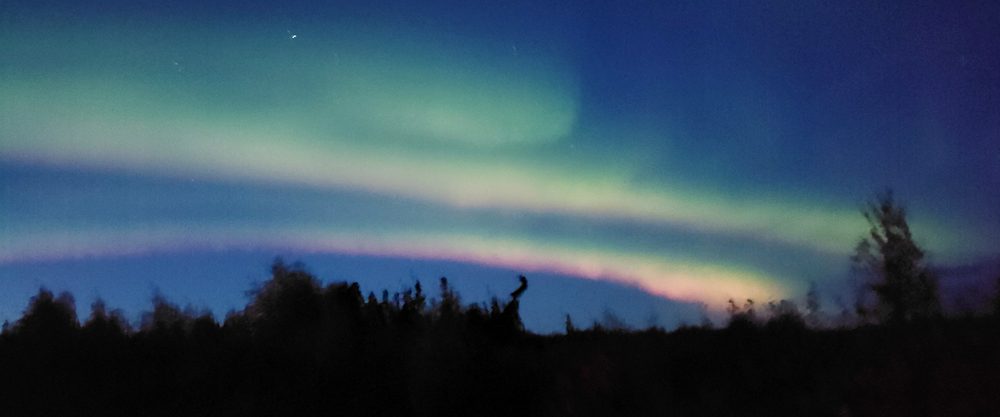 Green and pink northern lights arcing over a silhouetted tree line at night