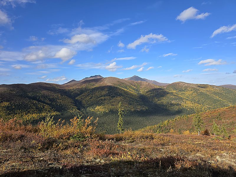 Autumn valley of yellow and green spruce and birch below rounded mountains, under a blue sky with scattered clouds